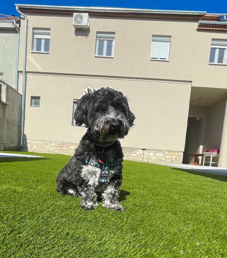 Holiday Apartmanhaz Harkan Exterior foto
